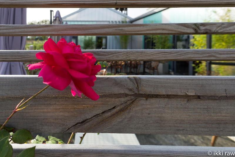 Hotel Libera Caen Colombelles エクステリア 写真