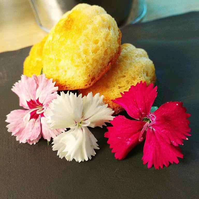 Hotel Libera Caen Colombelles エクステリア 写真